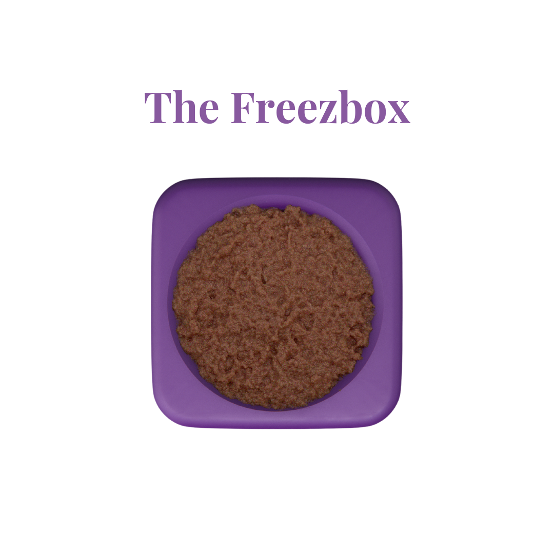 Freezbone Freezbocx slow feeder bowl