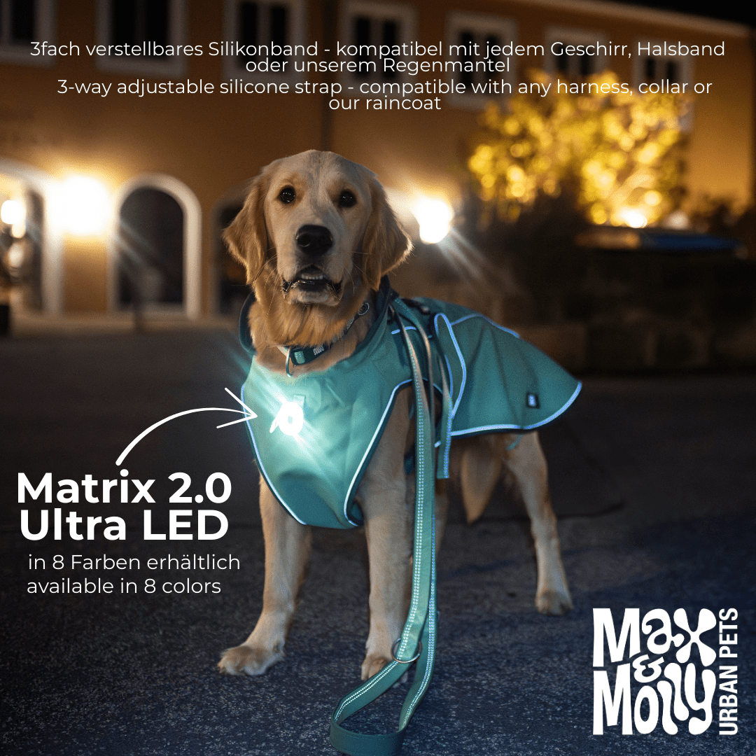 Max & Molly Matrix 2.0 Ultra LED Light for Dog Collar