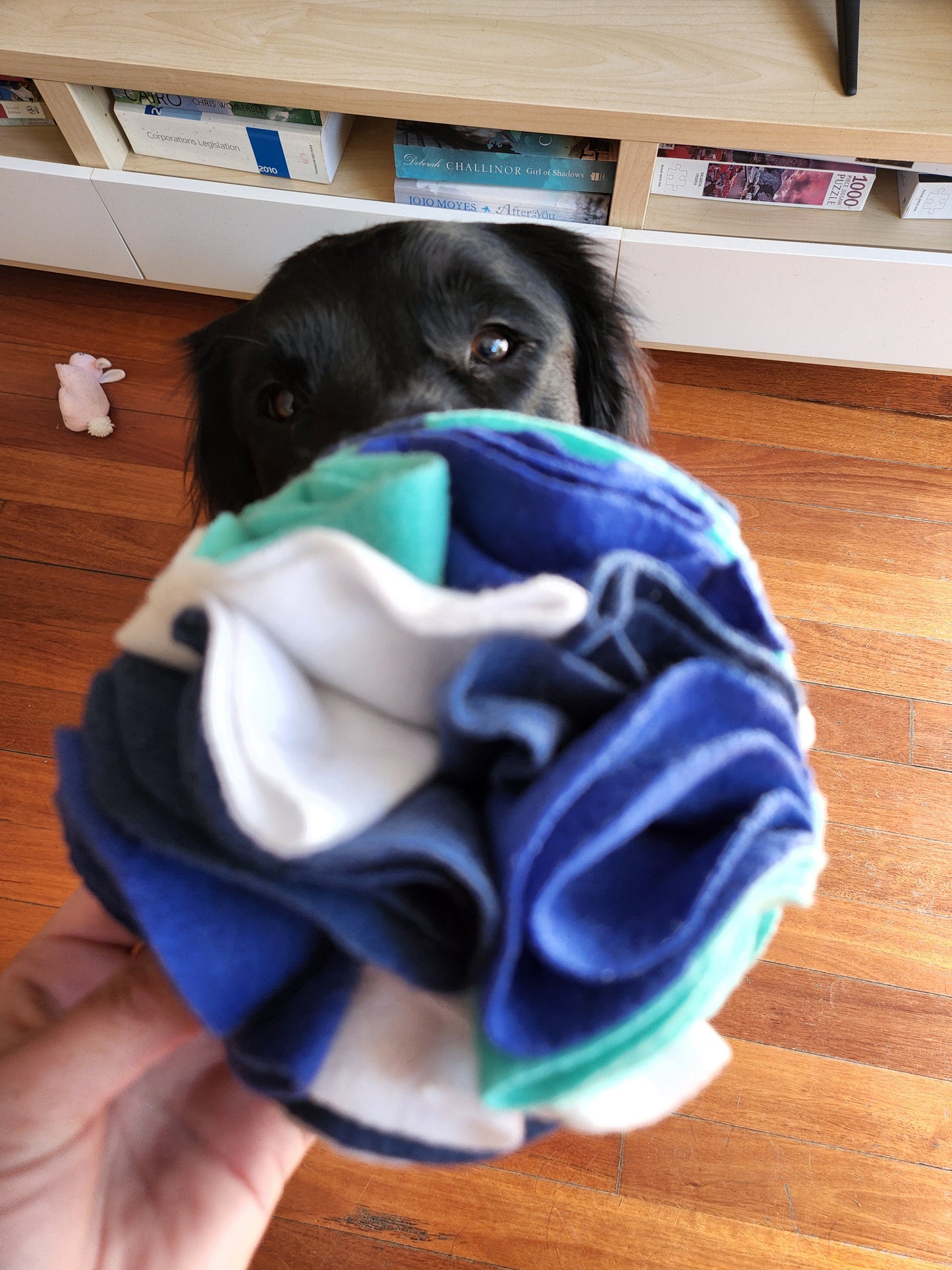 Snuffle ball for dogs