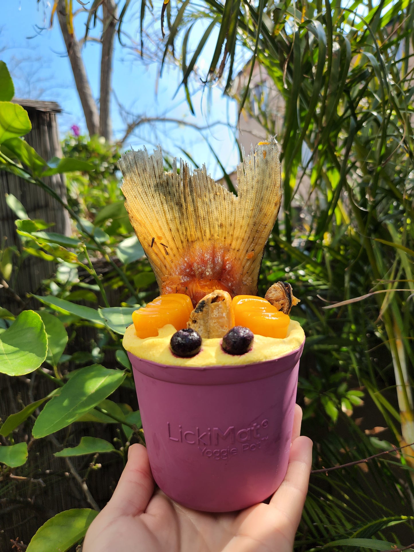 Lickimat Yoggie pot purple