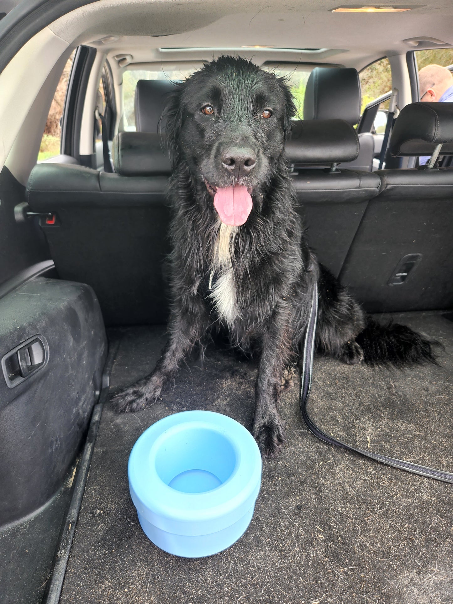 K9 Cruiser bowl no spill dog water bowl