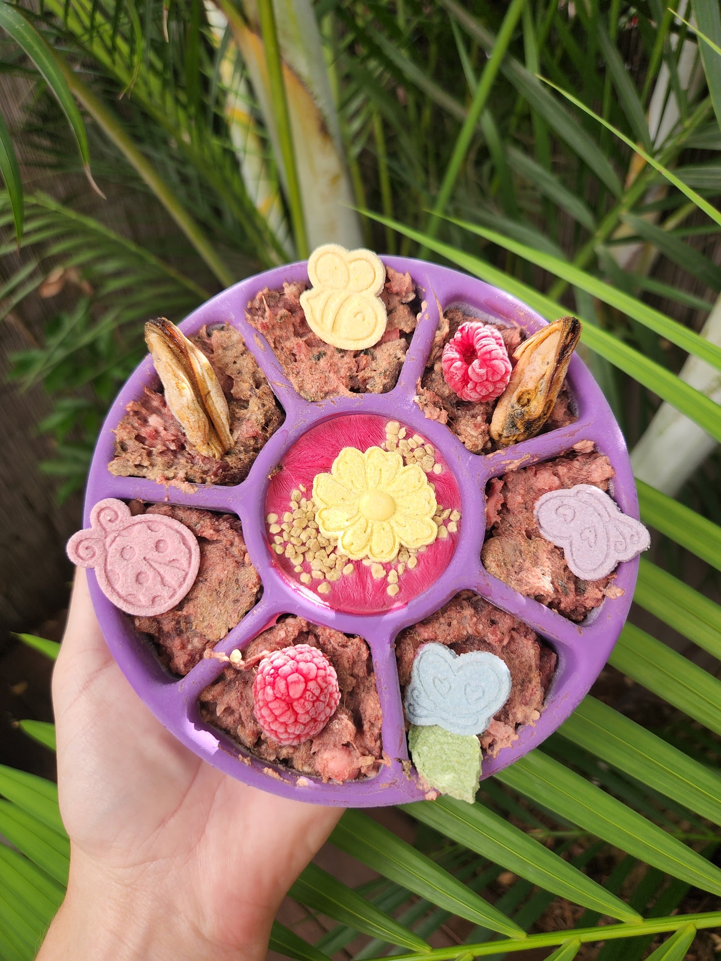 Freezbone freezwheel enrichment feeder & slow feeder bowl