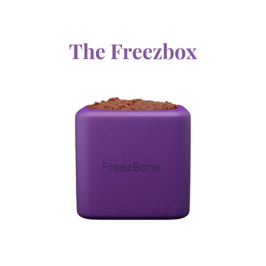 Freezbone Freezbocx slow feeder bowl