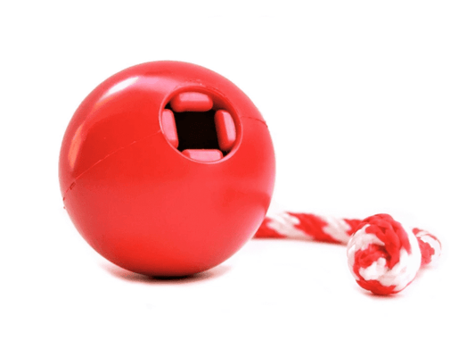 Sodapup cherry bomb fetch toy