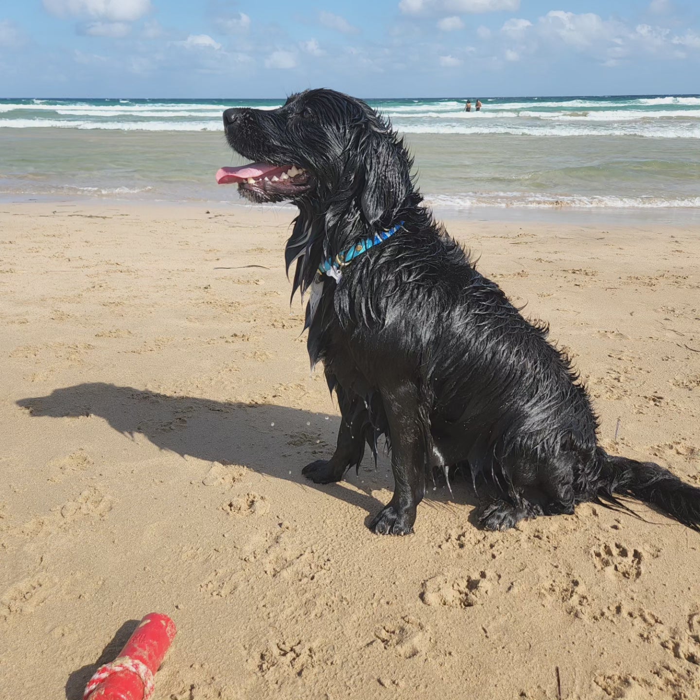 Sodapup Firecracker - Water & fetch Toy for dogs