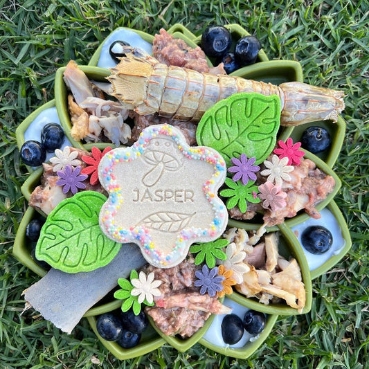 Sodapup Mandala Slow feeder bowl