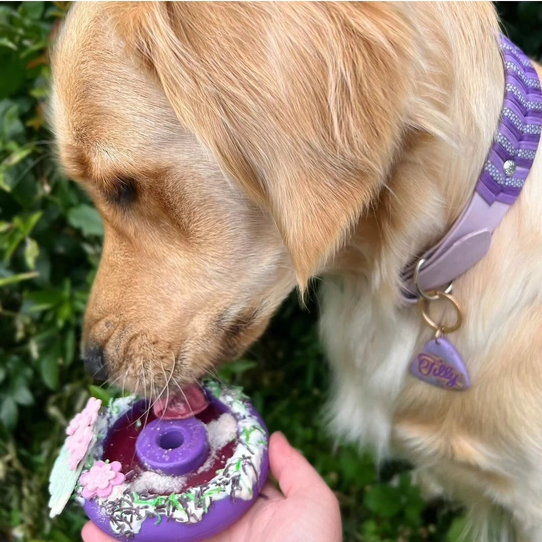Freezbone freez donut