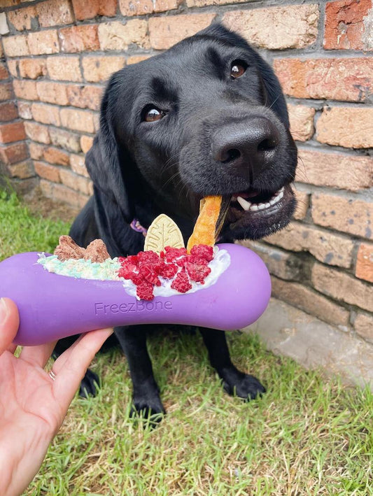 Freezbone freezstick