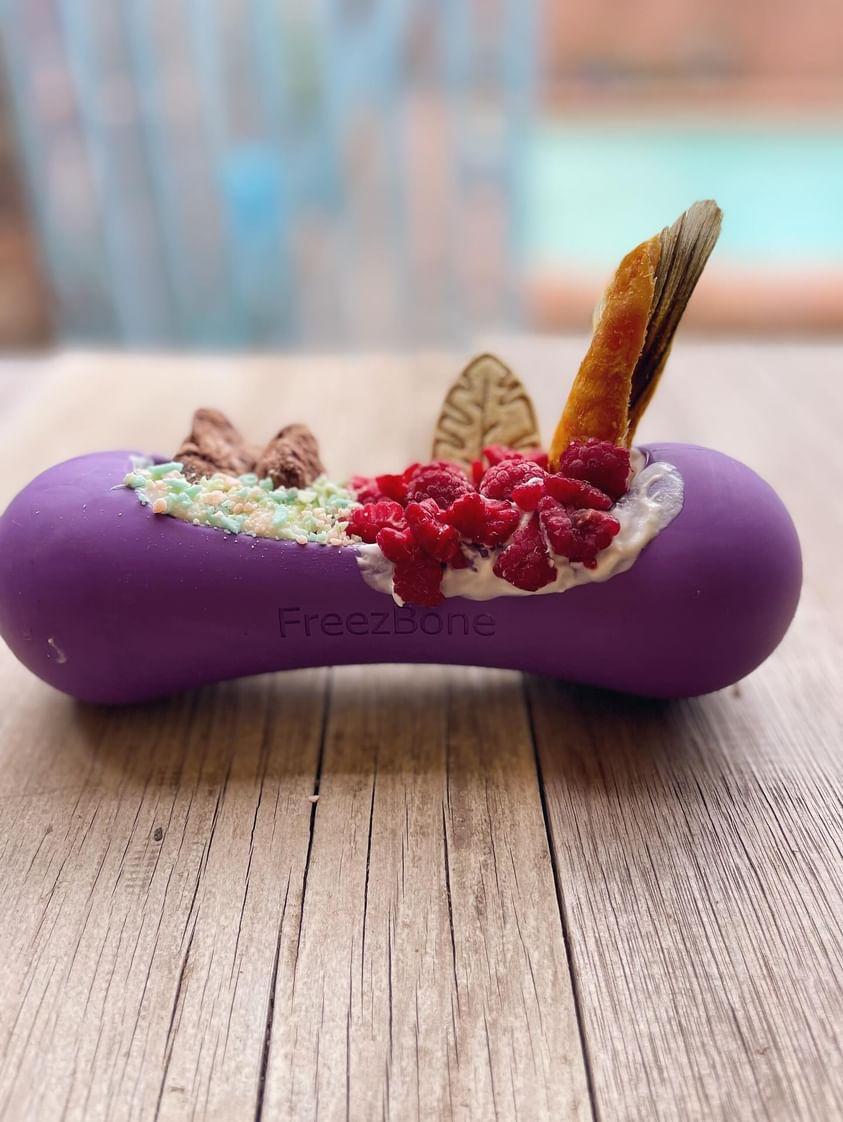 Freezbone Freezstick