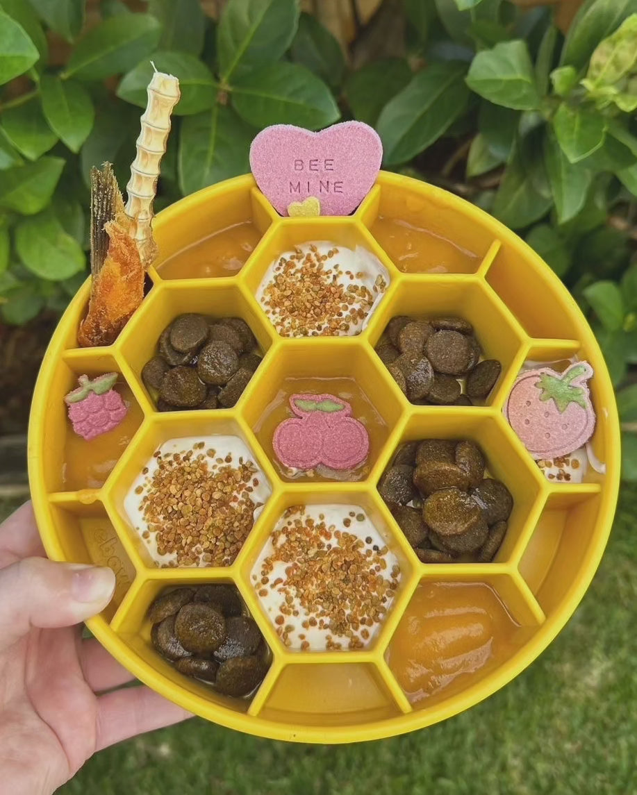 Sodapup Honeybowl slow feeder bowl