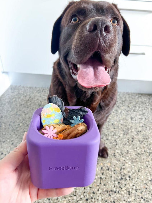 Freezbone freezball slow feeder bowl