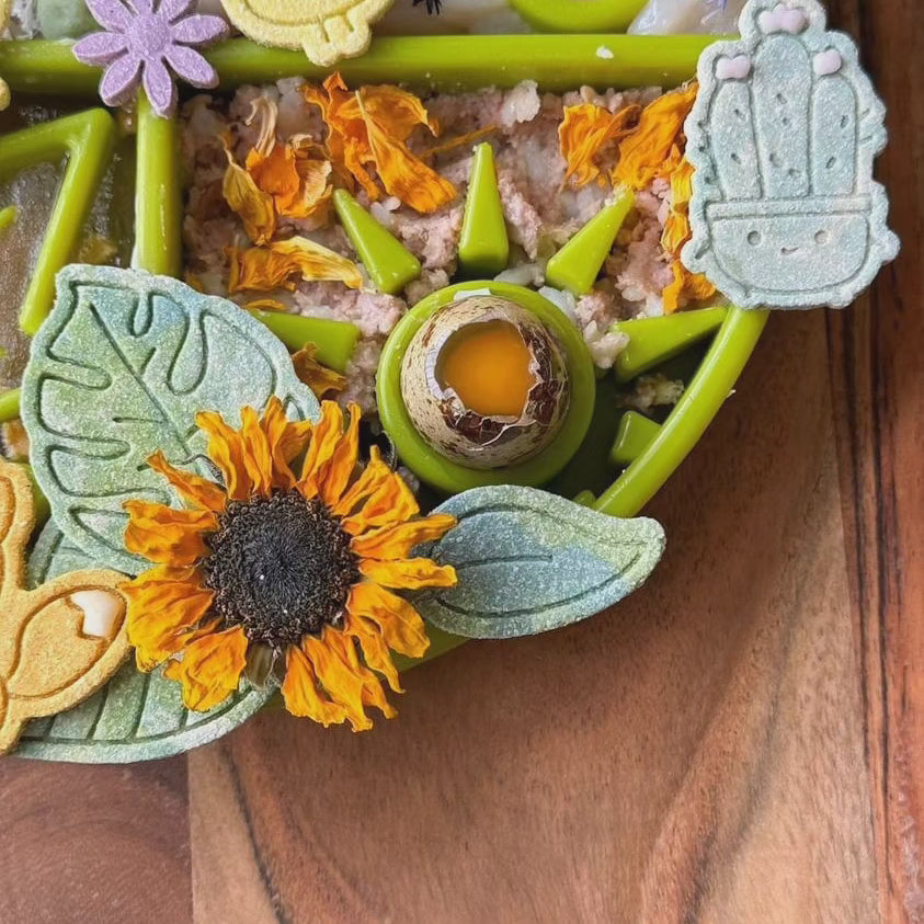 Sodapup Four Seasons Ebowl & slow feeder bowl