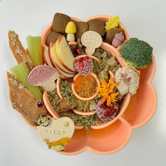 Blossom flower silicone slow feeder bowl