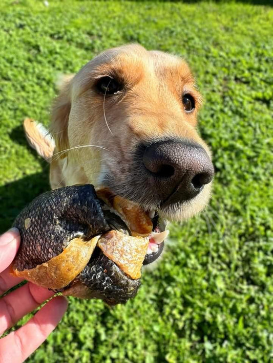 Salmon knots dog treats