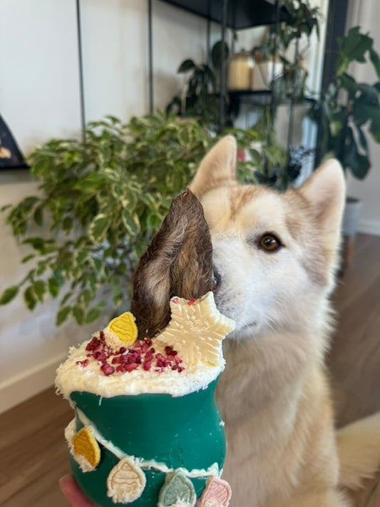 West Paw Toppl treat dispenser and slow feeder bowl evergreen