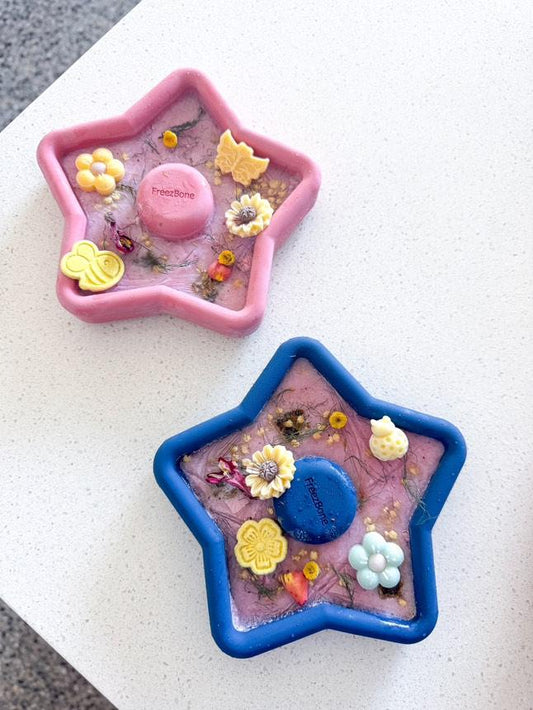 Freezbone freezstar enrichment toy and slow feeder bowl