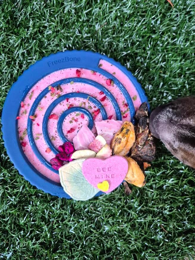 Freezbone - Freezswirl enrichment feeder