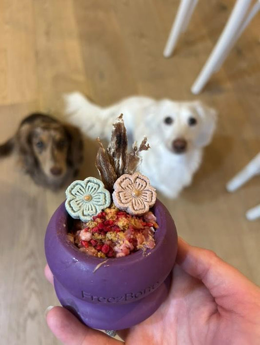 Freezbone freezball small