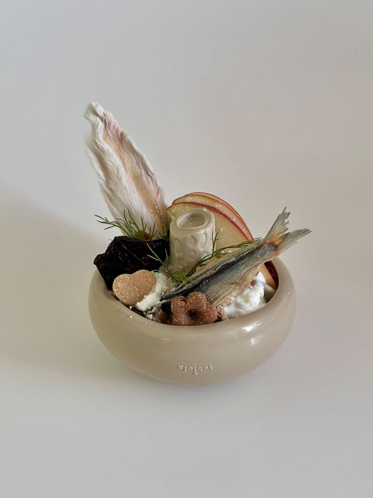Loblola mushroom enrichment toy