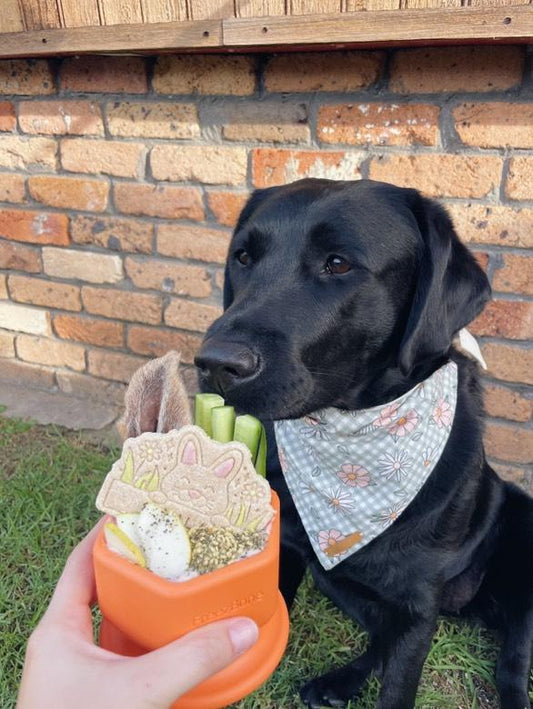 Freezbone Freezcup enrichment bowl