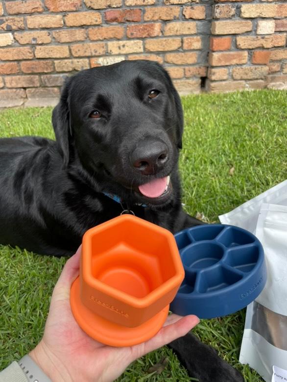 Freezbone - Freezcup enrichment feeder