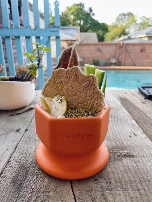 Freezbone freezcup enrichment bowl