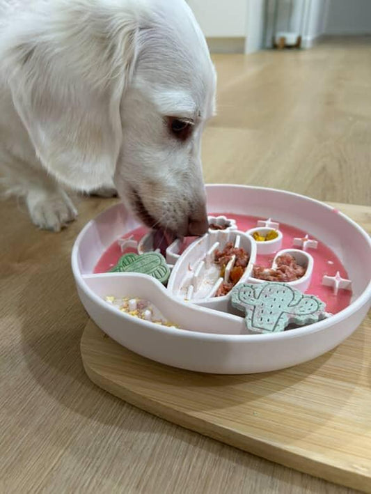 Cactus slow feeder bowl