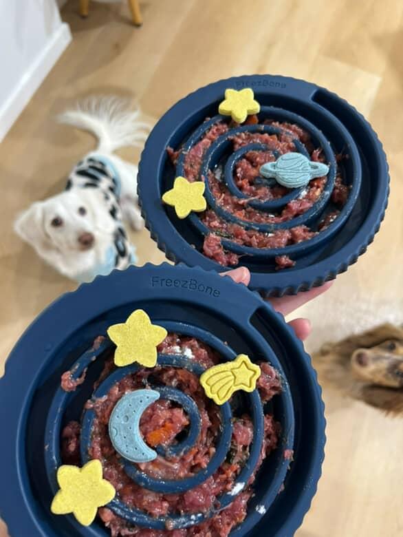Freezbone Freezswirl