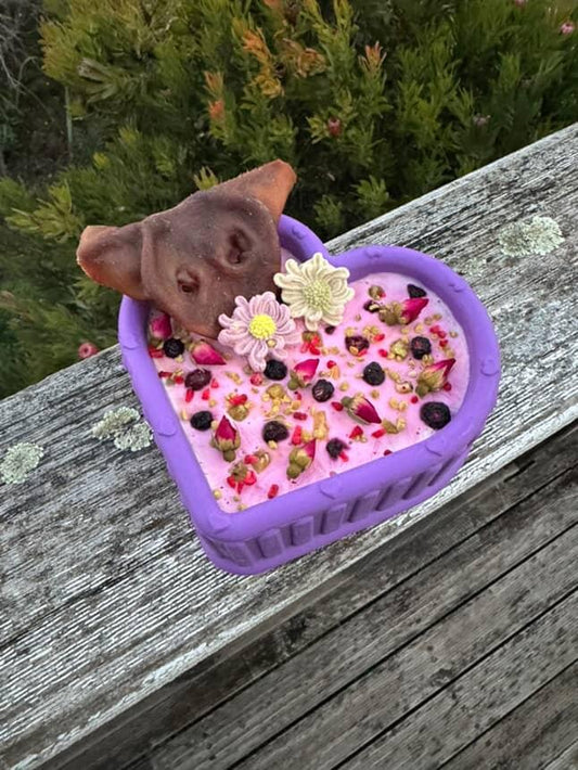 Freezbone Freezheart XL