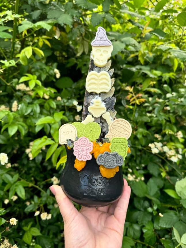 West paw Toppl limited edition black