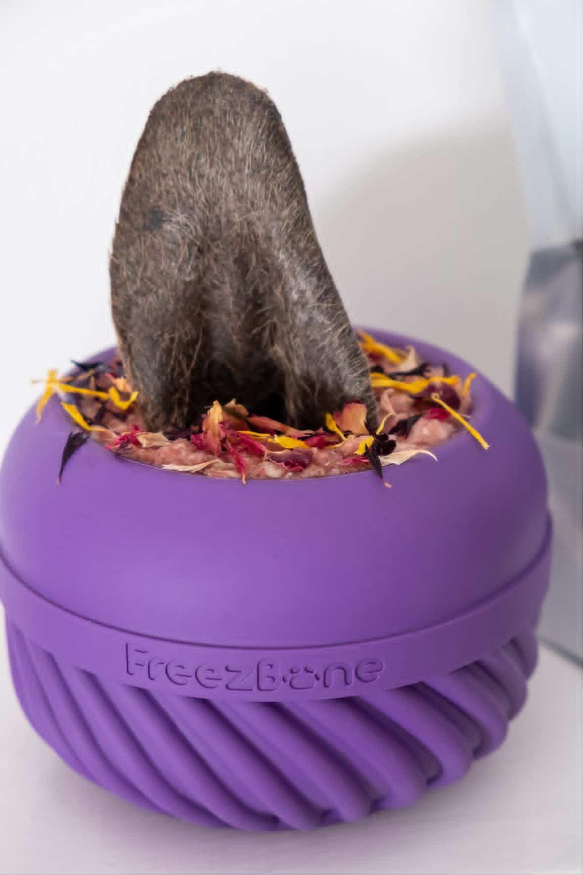 Freezbone Freezjumbo bowl