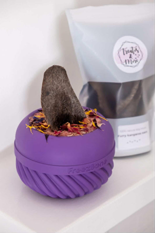 Freezbone Freezjumbo slow feeder bowl