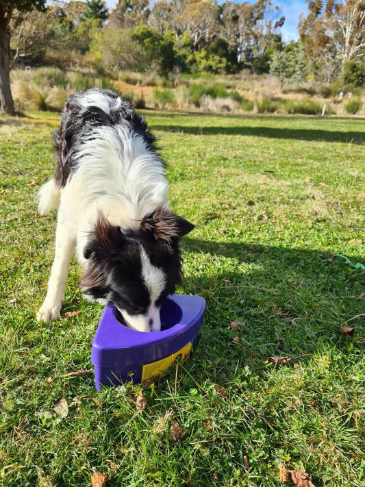 K9 Cruiser Bowl Corner - No-spill water bowl