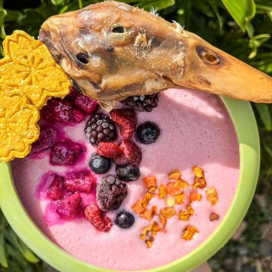 LickiMat UFO Slow Feeder Dog Bowl