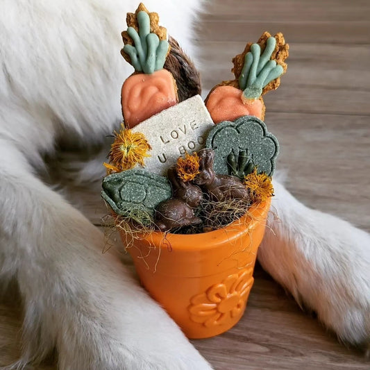 Sodapup Flower Pot slow feed bowl