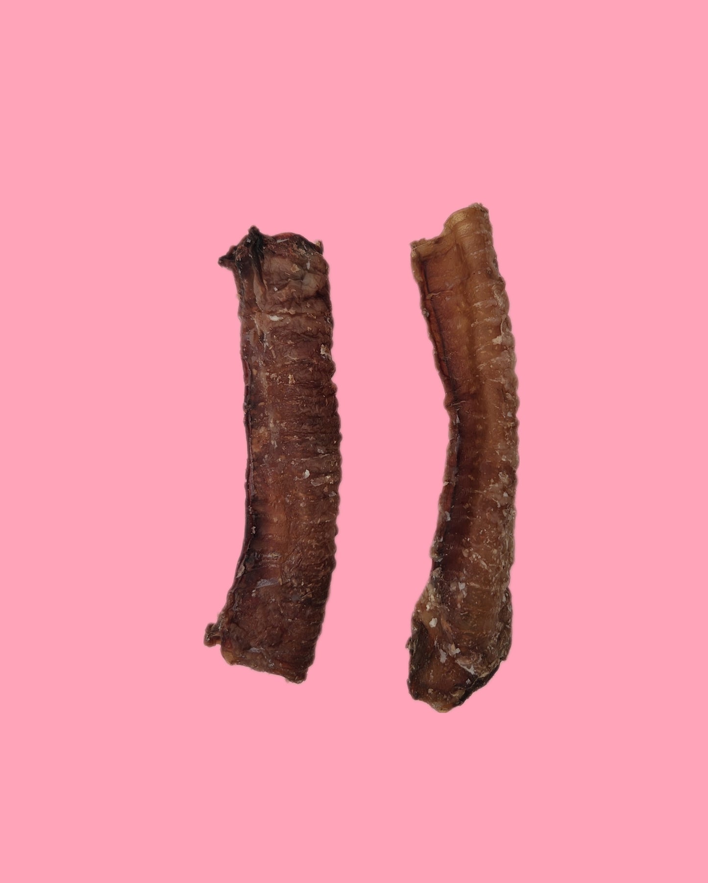 Lamb trachea for dogs