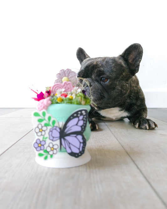 West paw limited edition Toppl - Mint