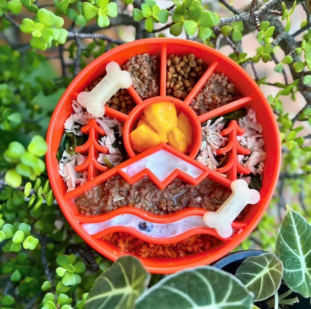 Sodapup Great Outdoors bowl