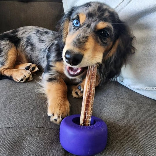 Bully Grip Bully stick holder