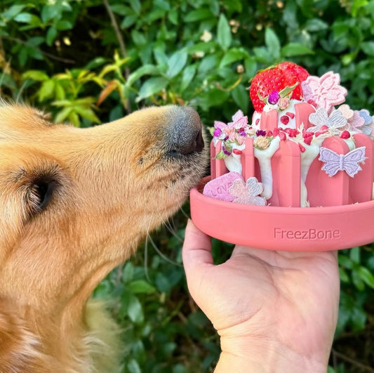 Freezbone freezlava enrichment toy