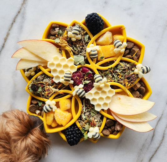 Sodapup Mandala slow feeder bowl for dogs