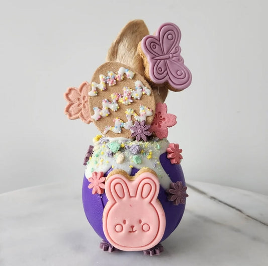 West paw Rumbl treat dispenser