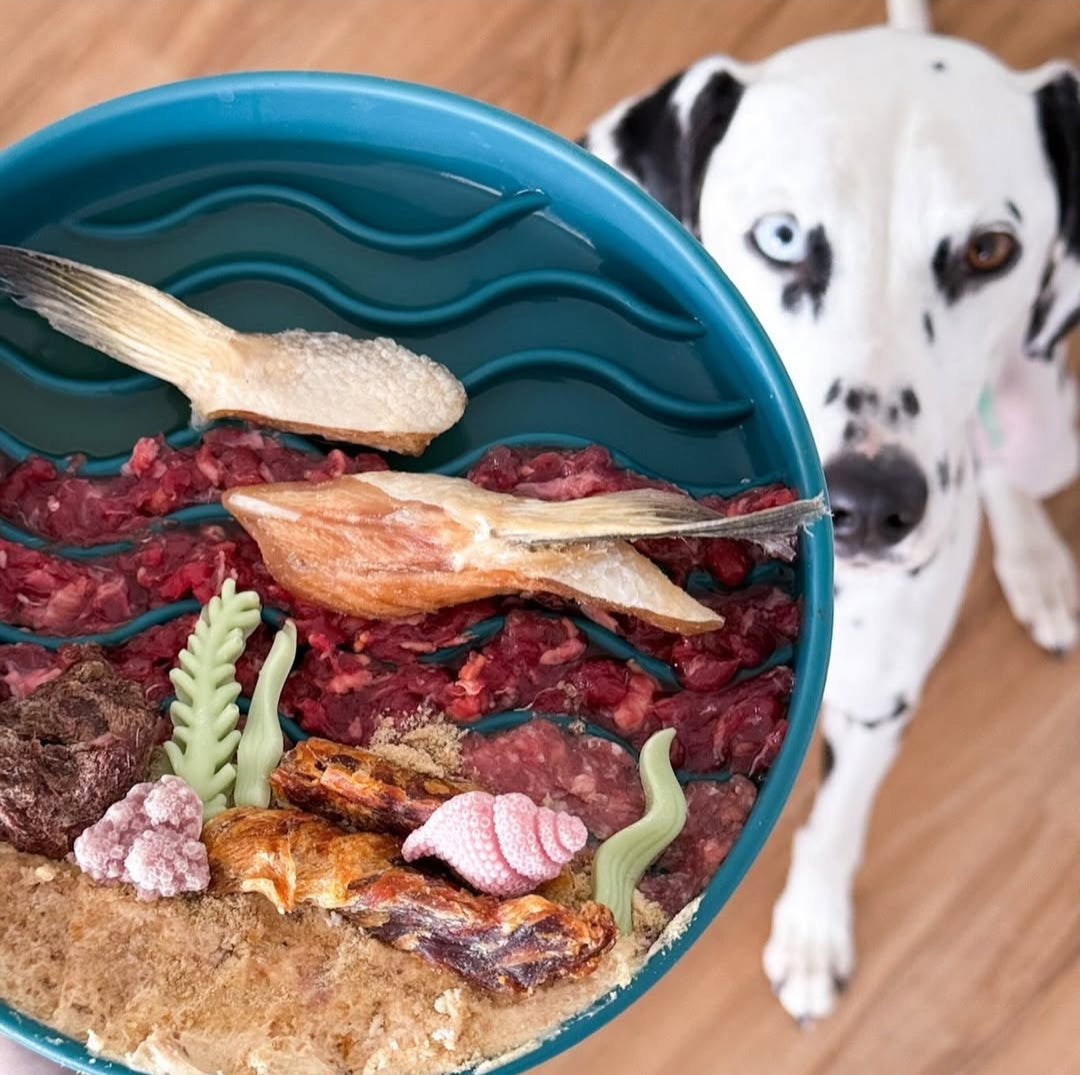 Freeze dried salmon bellies dog treats