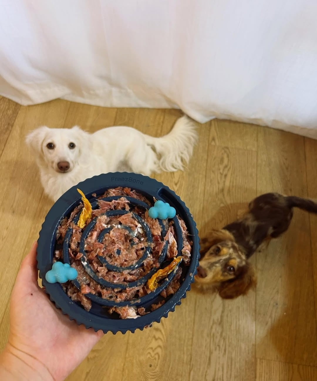 Freezbone freezswirl enrichment bowl