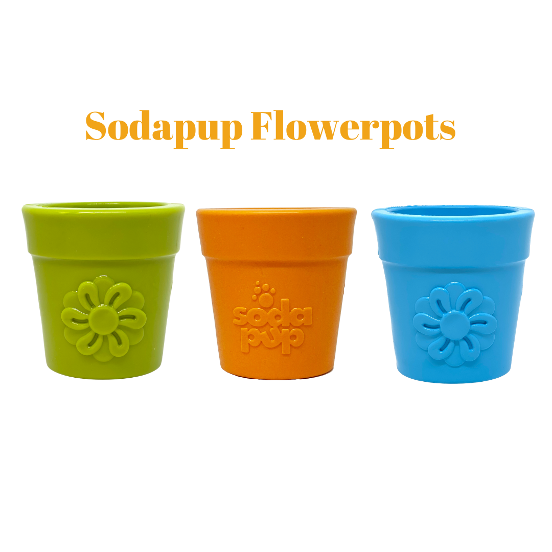Sodapup Honeycomb Design Ebowl Slow feeder - Blue - Hondenspecials.nl B2B Sodapup Honeycomb Design Ebowl Slow feeder - Blue - Hondenspecials.nl B2B