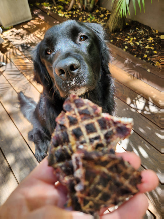 Kangaroo Jerky dog treats