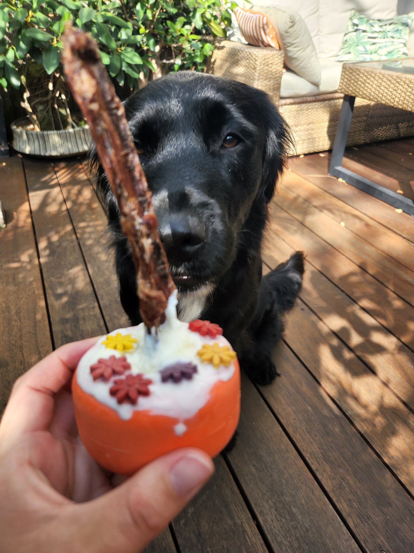 Bully grip - Bully stick & treat holder