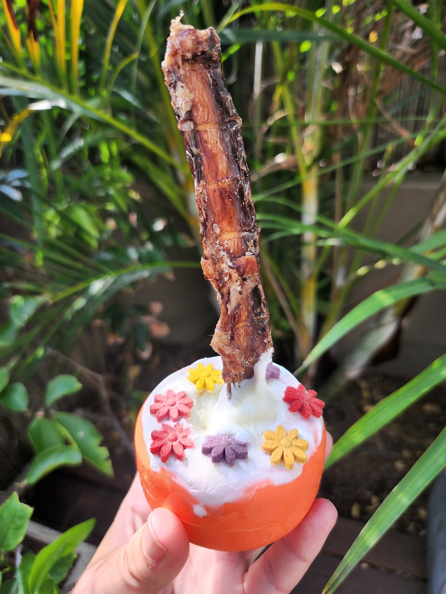 Bully Grip - Bully stick holder & enrichment toy