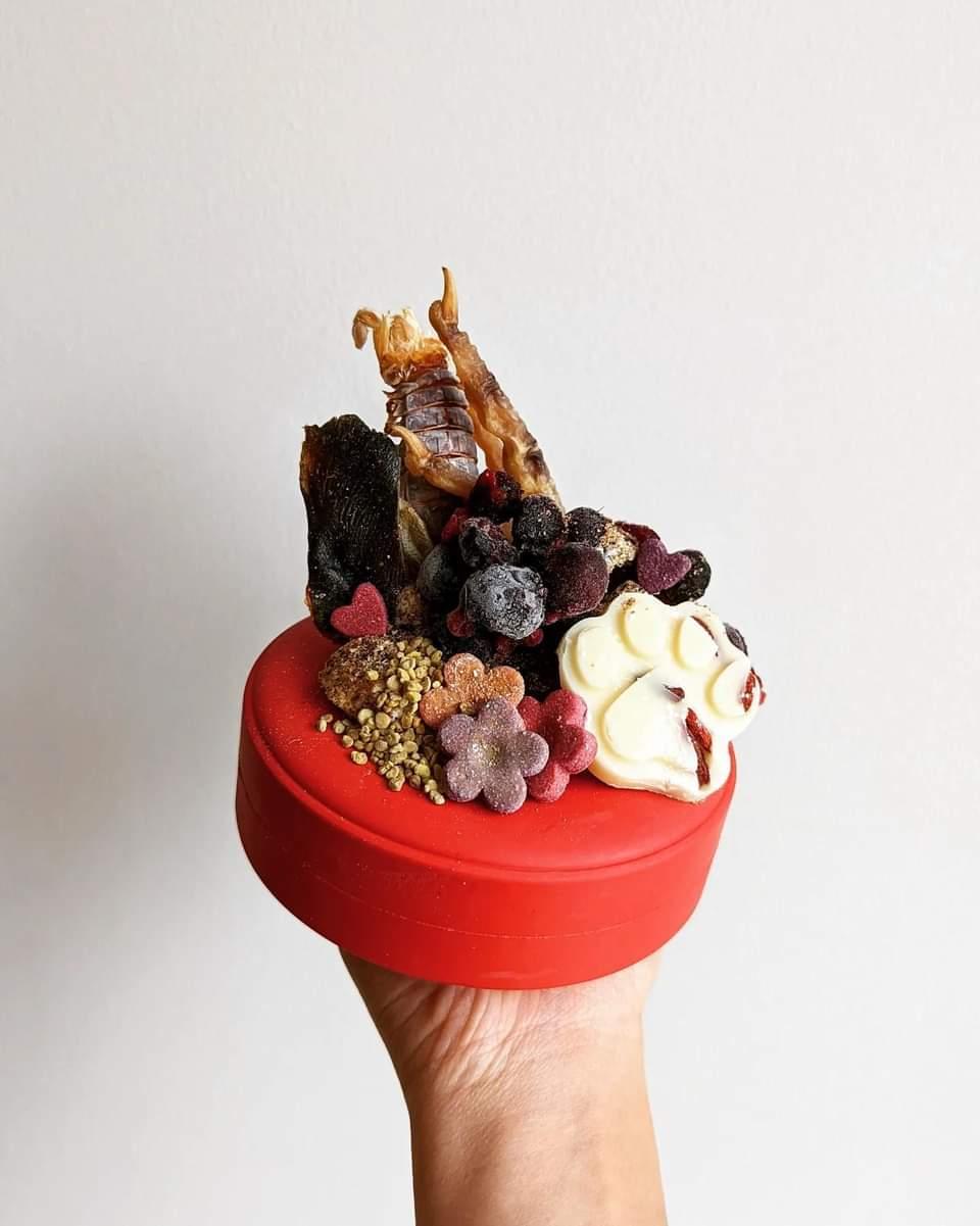 Sodapupo lifesaver enrichment toy