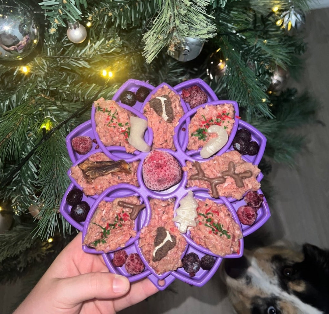 Sodapup Mandala slow feeder bowl